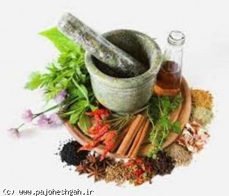برقراری پیوند میان سرمایه گذاران وفناوران درفن بازارگیاهان دارویی